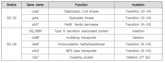 약독화 균주별 특이적 돌연변이 유전자 정보