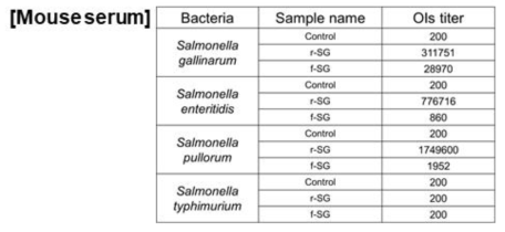 방사선 이용 가금티푸스 사균백신을 이용한 마우스 혈청기반 OPKA 수행