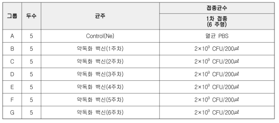 닭에서의 방사선조사-약독화 Salmonella gallinarum 백신 안전성 평가 실험 개요