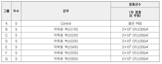 닭에서의 방사선조사-약독화 Salmonella gallinarum 백신의 계대 접종 따른 백신의 안전성 평가