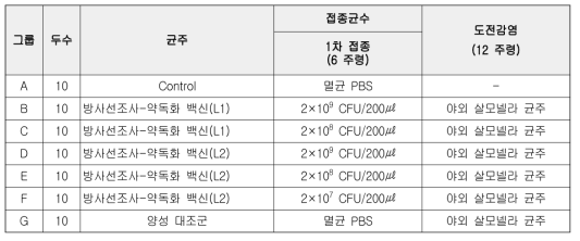 닭에서의 방사선조사-약독화 Salmonella gallinarum 백신 효능 평가 실험 개요