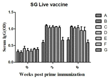 Salmonella gallinarum 약독화 백신을 닭에 근육 접종 후 S. gallinarum OMP에 대한 혈청 IgG 역가