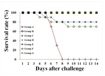 Salmonella gallinarum 약독화 백신을 닭에 근육 접종 후 S. Gallinarum OMP에 대한 혈청 IgG 역가