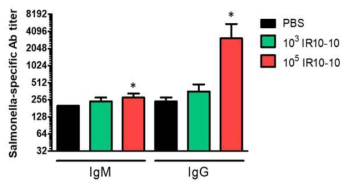 IR10-10 균주에 의한 마우스 혈액 내 IgM과 IgG 생성 정도 비교