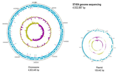 살모넬라 균주 ST454의 유전체 지도