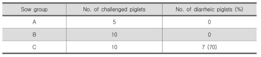 각 그룹별 모돈에서 출생한 자돈에 야외 독성 균주로 도전감염 후 발현된 임산 증상