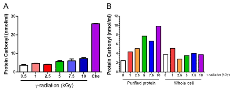 감마선과 포르말린에 의한 SG-WT 균주의 단백질 carbonylation 비교