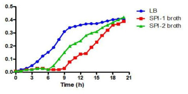 LB, SPI-1(M9), SPI-2(LPM) 배지에서 SG-Acid의 성장곡선