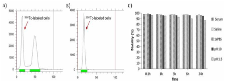 A) 표지 반응 후 radio-TLC결과, B) 정재 과정 후 radio-TLC결과, C) in vitro 안정성 실험 결과