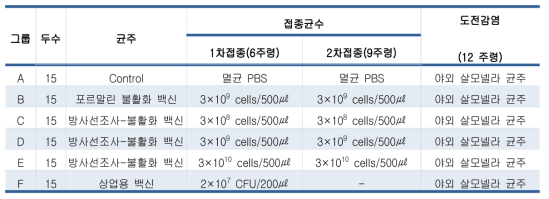 닭에서의 방사선조사-불활화 Salmonella gallinarum 사균체 백신 효능 평가