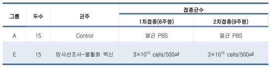 닭에서의 방사선조사-불활화 Salmonella gallinarum 사균체 백신 효능의 안전성 평가