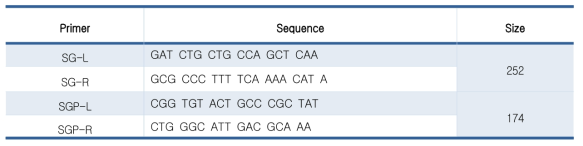 Salmonella gallinarum 을 확인하기 위해 사용된 primer