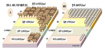 국내외 소·돼지 사육밀도 (KARA 보고서, 2013년)