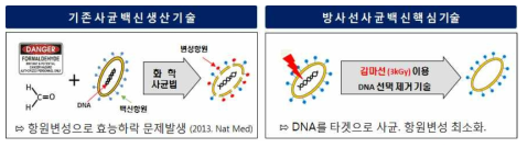 기존 사균 백신과 방사선 사균 백신 제조과정 비교