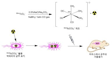 RI 활용 박테리아 표지 과정 및 생체 거동평가 방법