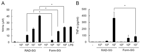 RAD-SG과 Form-SG의 면역세포 활성 유도 능력 비교