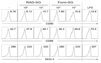 RAD-SG과 Form-SG의 수지상세포 활성화 유도 능력 비교