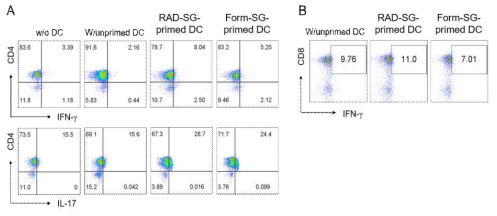 RAD-SG과 Form-SG의 T 세포 활성화 능력 비교