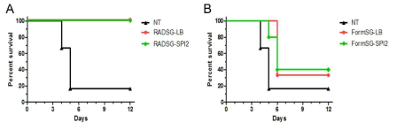 LB 혹은 SPI-2 발현 배지에서 배양한 SG-Acid 균주를 감마선(A)과 포르말린(B)을 이용하여 백신 제작 후 보호면역 평가