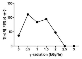 감마선 선량에 따른 항생제 저항성 돌연변이 변이체 수