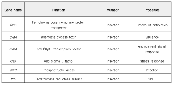 약독화 균주 유전체 내 공통 돌연변이 유전자 정보
