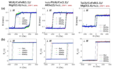 감마선 피폭량에 따른 수직 자성 전극 소자의 자성 특성 변화 (a)수직자화곡선, (b)홀 전압