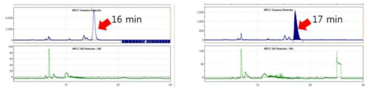 신규 정제 조건에 따른 [18F]GP-1의 정제 크로마토그램