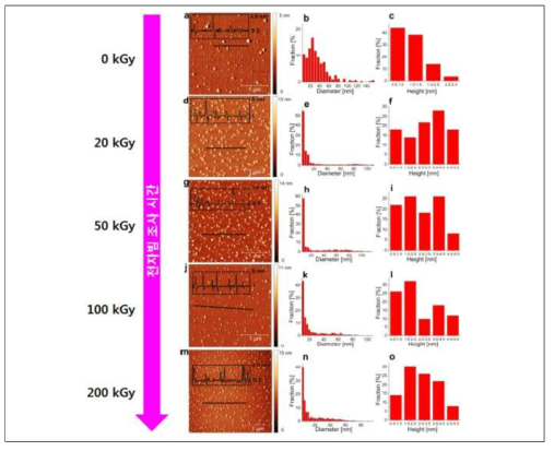 감마선 조사에 따른 GQD의 직경 감소 경향 (최대 200 kGy 까지, ACS Applied Materials & Interfaces, 2015, 7, 25865)