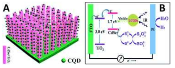 Water Splitting 전극에 코팅된 탄소양자점의 에너지 준위 고찰