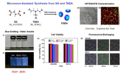 기존 합성법으로 제조된 CQD의 MDAMB (정상세포) 및 MDCK (암세포) 바이오 이미징 결과