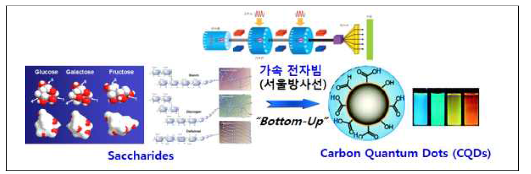 본 연구개발 내용 중 하나인 가속 전자빔 기반 천연재료를 사용한 Bottom-up 방식의 탄소양자점 합성 기술