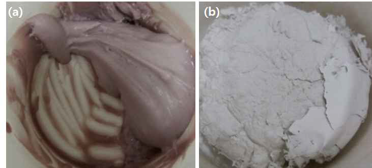 알지네이트와 실리콘(smooth cast 300Q)의 혼합(a)과 일반적인 알지네이트(b)