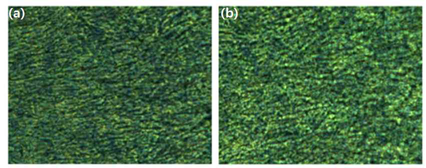 EBT2 필름의 현미경 분석영상. (a) 자기장에 노출되지 않은 경우, (b) 자기장에 노출된 경우