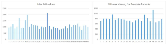 MR 영상의 최대치를 계산하기 위하여 환자별 MR value 추출 결과