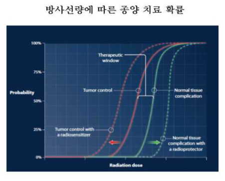 방사선량 증가에 따른 종양제어(좌측 실선) 및 정상조직 손상 (우측실선) 위험도 변화