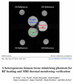 식물성 오일을 사용해 제작한 인체 조직등가의 팬톰 및 MR영상 결과