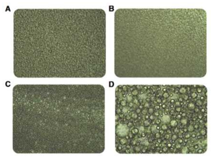 Optical microscope images, (a) 10%, (b) 20% (c) 30%, and (d) 40% PDMS