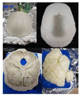 3D 프린트 출력물을 이용하여 실리콘 몰드를 제작하고 주형을 거쳐 완성된 인체기관의 모습