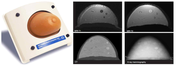 CIRS사의 Multi Modality 유방 팬텀 (073)과 MR(좌: T1, 우: T2), CT, 유방 X-ray 영상