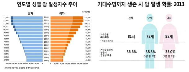 국내 암 발생자 수 추이(좌) 및 국내 암 발생 확률(우)