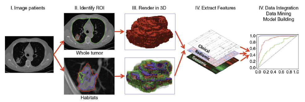 “Radiomics: Images Are More than Pictures, They Are Data.”, Radiology. 2016 Feb;278(2):563-77의 Radiomics의 일반적인 워크플로우