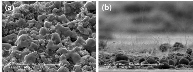 제작된 CNT 페이스트 에미터를 10,000 배율로 분석한 SEM 이미지. (a) 표면, (b) 측면