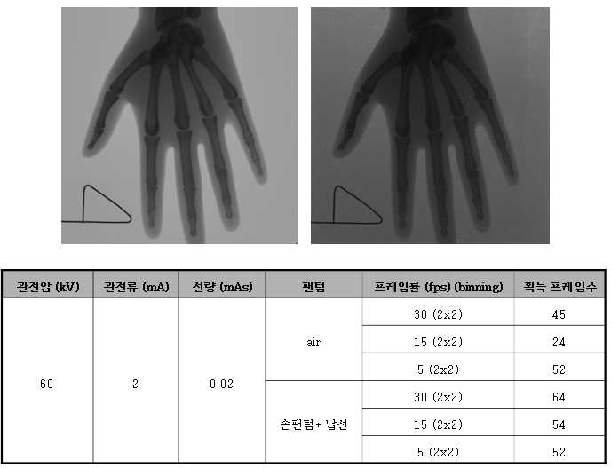 30 fps (2x2 binning) 조건에서 브라이트(bright) 영상 (좌) 과 첫번째 잔상 영상 (우). (잔상 영상의 경우 보고서 내 그림의 가시성을 위해 영상의 밝기를 조절하였음)