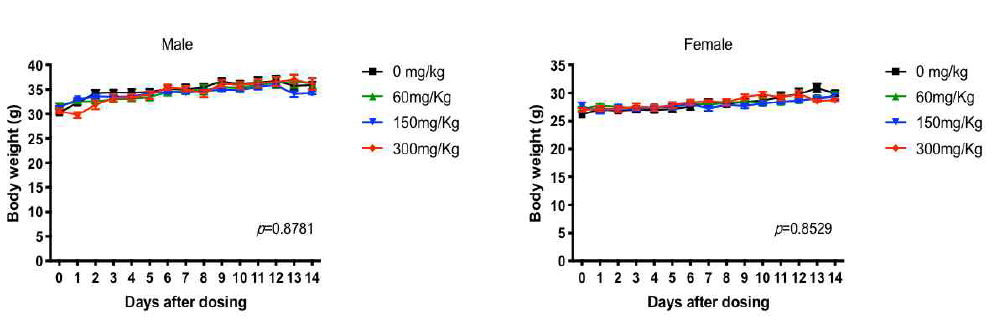 복강 내 투여에 따른 MEKP-1 농도별, 성별 체중 변화