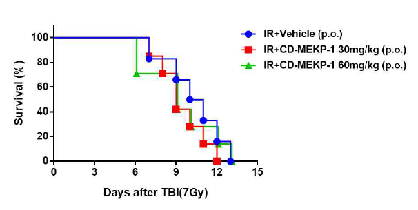 전신피폭에 대한 CD-MEKP-1 경구투여 효과