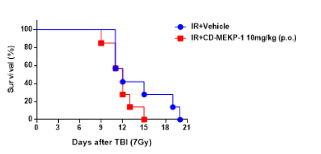 전신 피폭에 대한 CD-MEKP-1 저농도 투여 효과