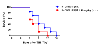 전신 피폭에 대한 EGFR 저해제1 투여 효과