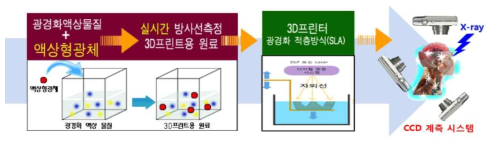 3D 프린팅 기술을 활용한 3차원 실시간 방사선 선량 측정 장치와 계측 기술 개발