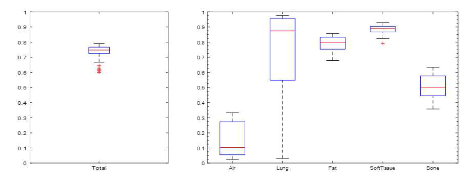 Air/Lung/Fat/Soft/Bone 의 각각에 대한 Pixel Matching Rate 를 계산
