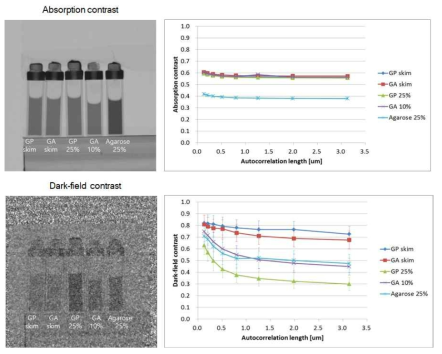 젤타입 유제품과 D2O 수용액의 자기상관길이에 따른 흡수차 영상 및 다크필드 영상 결과